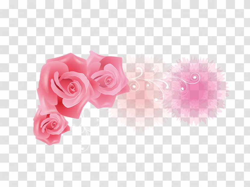 Garden Roses Petal - Peach - Love Rose Transparent PNG