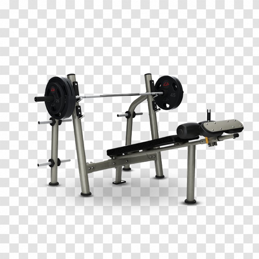 Bench Exercise Equipment Weight Training Physical Fitness Strength - Weights - Bikes Transparent PNG