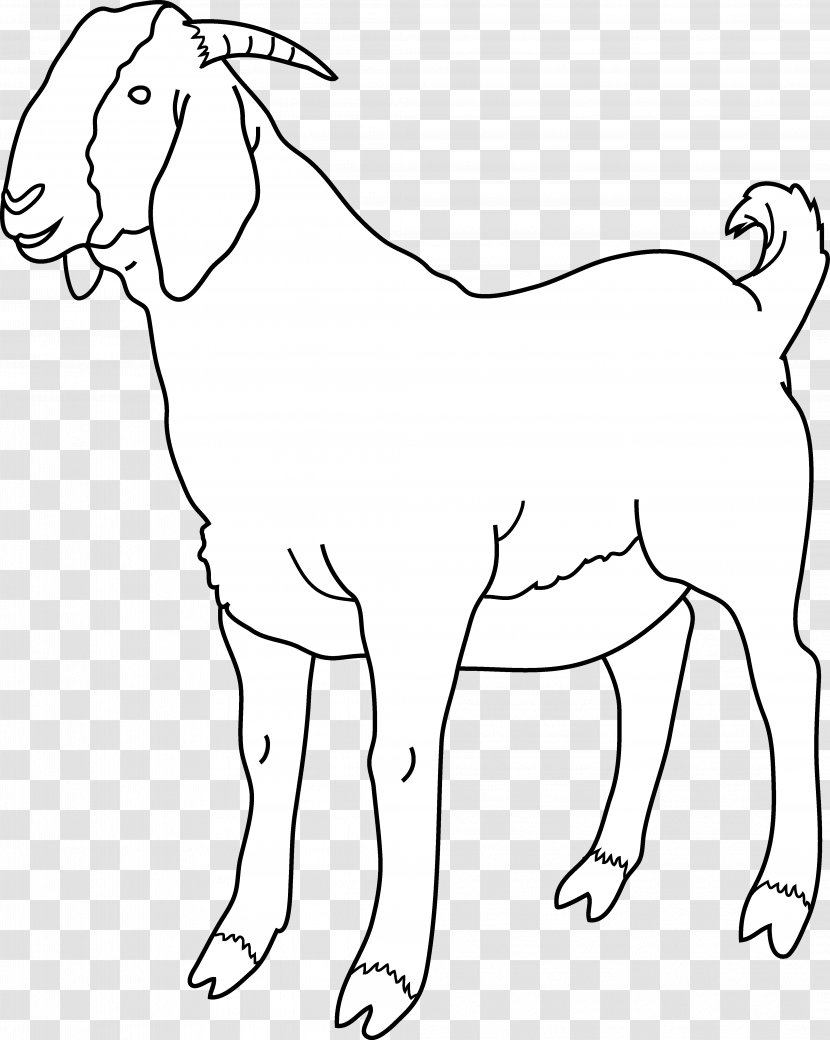 Boer Goat Black Bengal Sheep Clip Art - Cattle Like Mammal - Free Clipart Transparent PNG