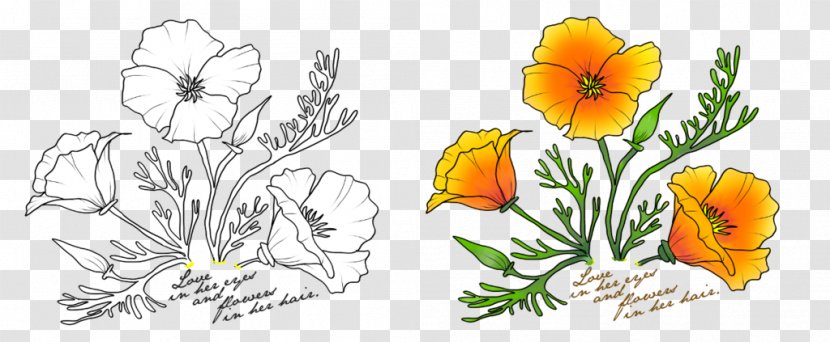 Floral Design California Poppy Watercolor Painting Drawing - Flower - Poppies Transparent PNG