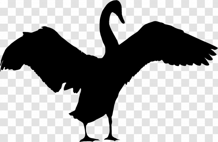 Cygnini Goose Beak Bird Duck - Silhouette Transparent PNG