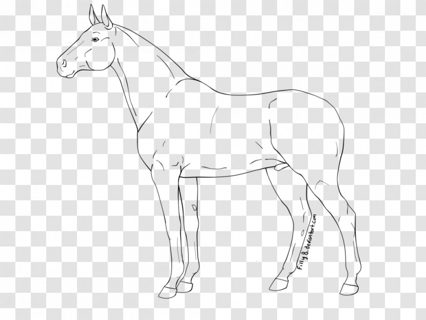 Line Art Stallion Mule Drawing Transparent PNG