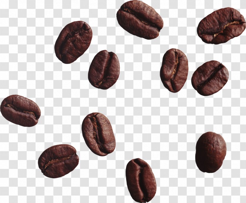 Coffee Bean Tea Cappuccino - Espresso - Beans Image Transparent PNG