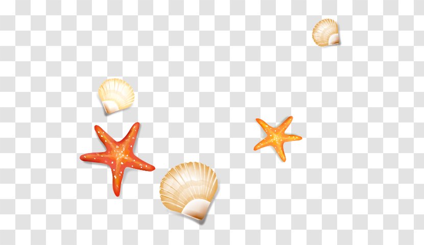 Starfish Seashell Cockle - Body Jewelry Transparent PNG