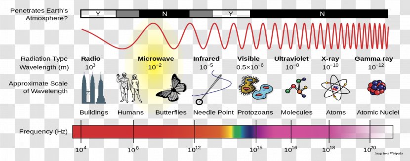 Light Electromagnetic Radiation Spectrum Wave - Cartoon - Effect Transparent PNG