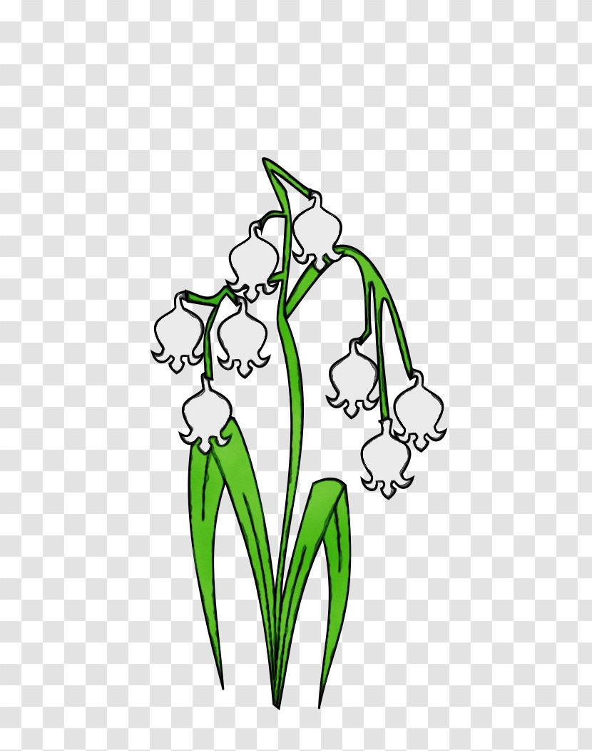 Floral Design Transparent PNG