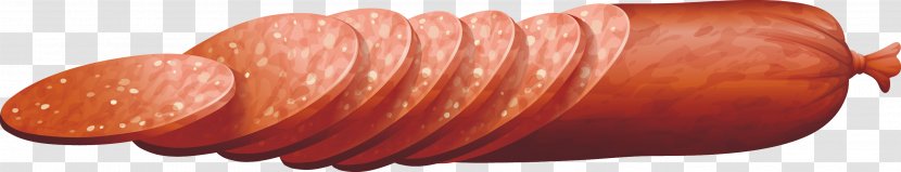 Sausage Salami Bacon Barbecue Meat - Vector Decoration Transparent PNG