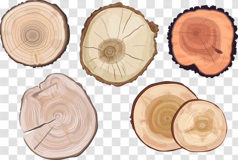 Tree Trunk Aastarxf5ngad Euclidean Vector - Stock Photography - Hand-painted Wood Pile Transparent PNG