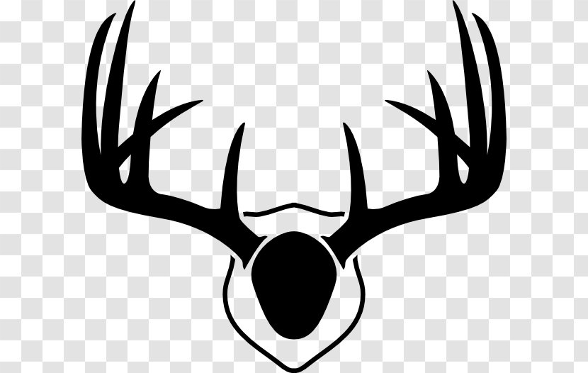 White-tailed Deer Elk Reindeer Red - Monochrome Photography - Skull Antlers Cliparts Transparent PNG