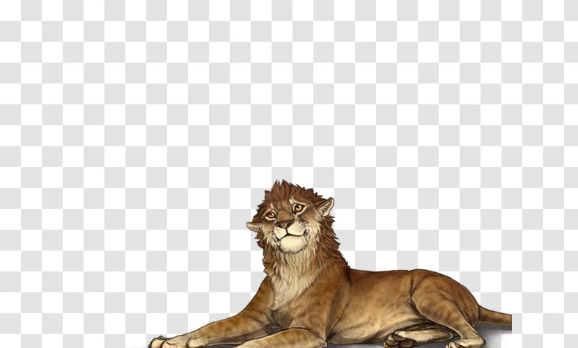 Lion Tiger Cat Panther Boerboel - Mammal Transparent PNG