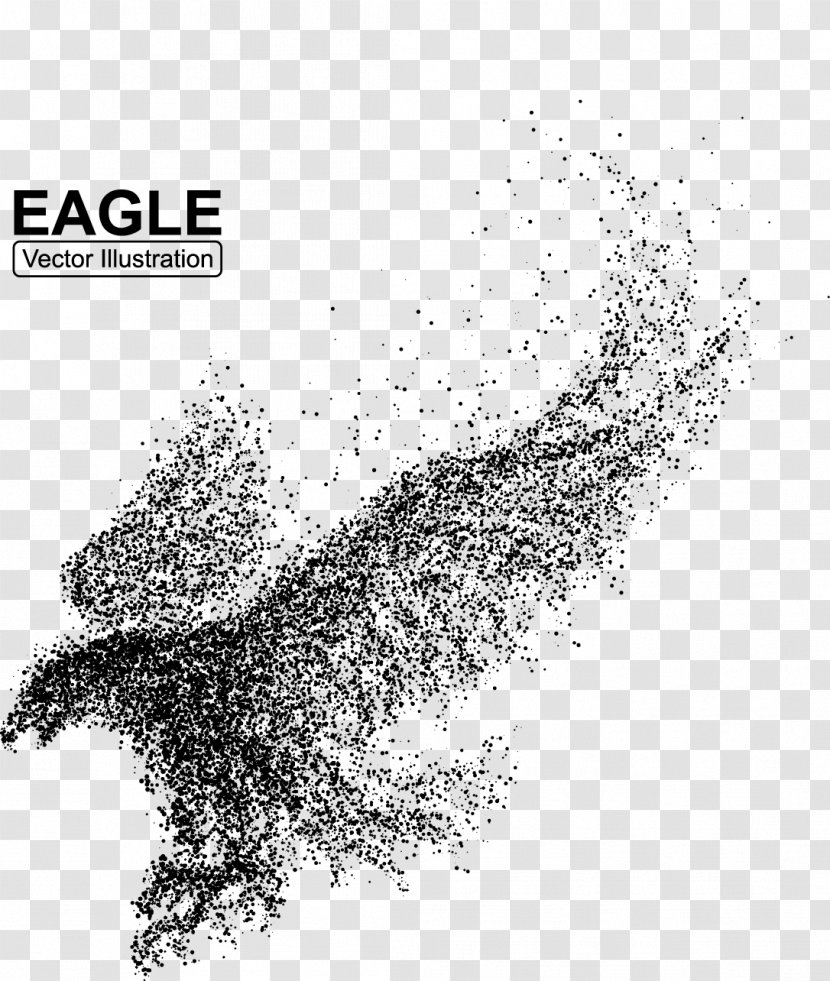 Bald Eagle Bird Illustration - Hawk Transparent PNG