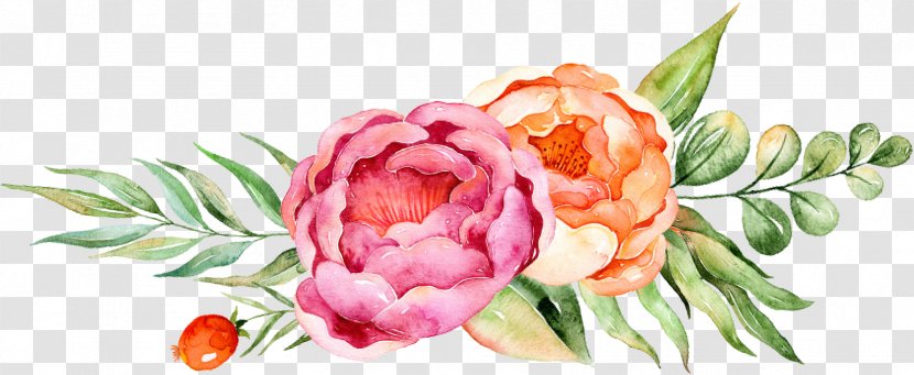 Clip Art Watercolor Painting Floral Design Illustration - Drawing Flowers Peony Transparent PNG