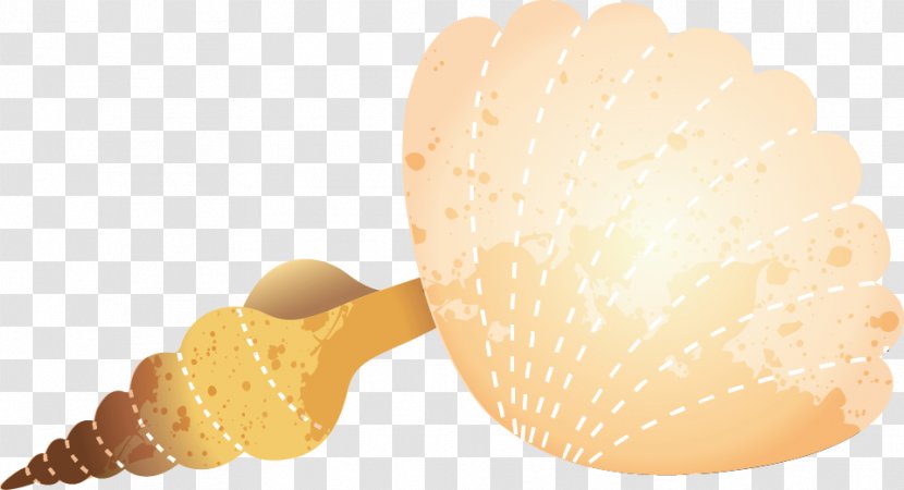 Ice Cream Seashell Sea Snail - Conch Transparent PNG
