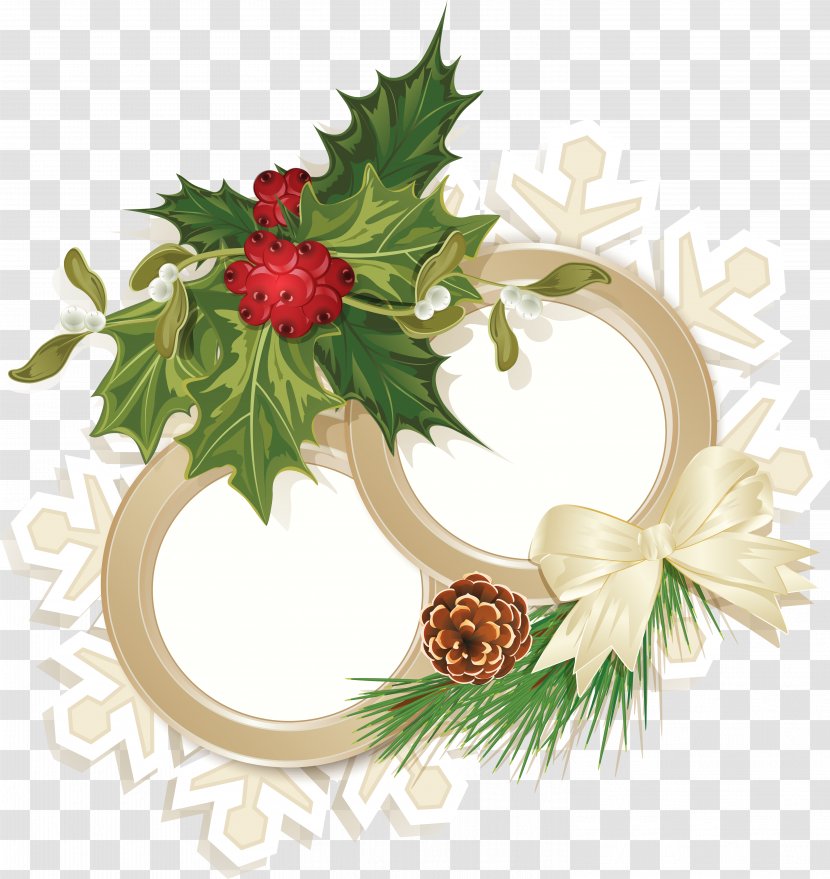 Christmas Pattern - Flower - Conch Transparent PNG