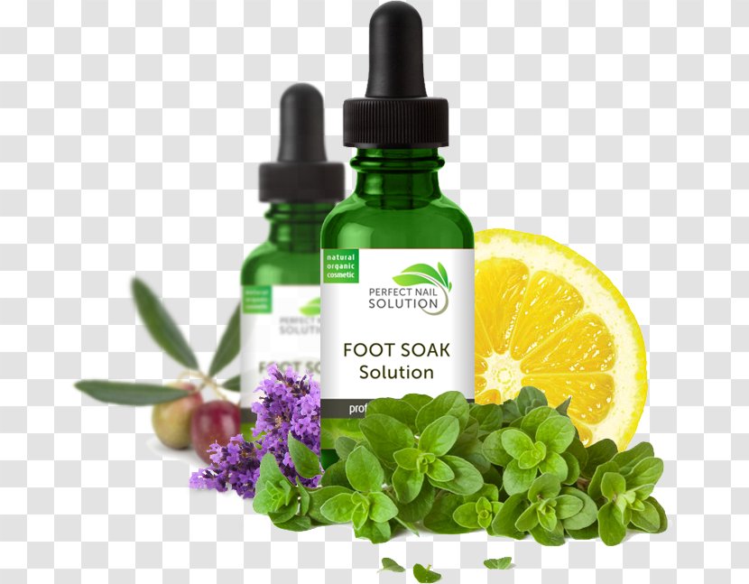 Thyme Herb Onychomycosis Organic Food - Nail Growth Products That Work Transparent PNG