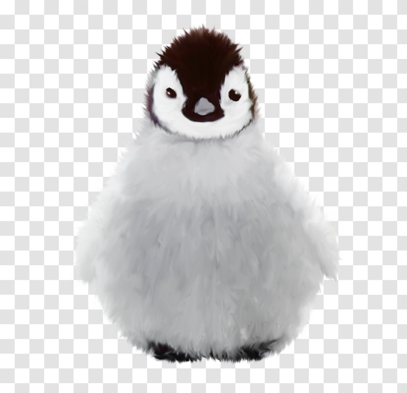 Penguin Winter - Bird Transparent PNG