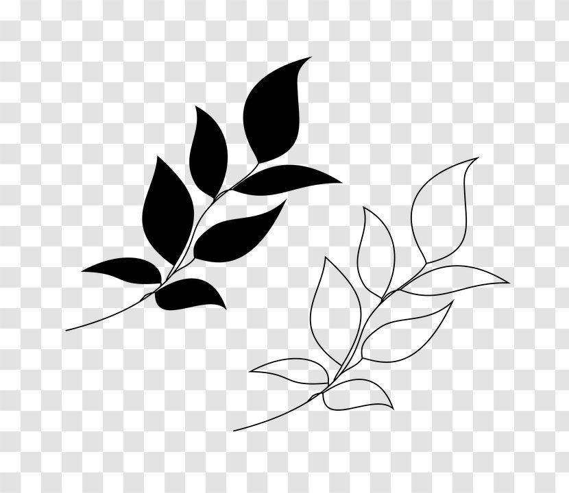 Leaf Branch Plant Black-and-white Twig - Stem - Flower Tree Transparent PNG