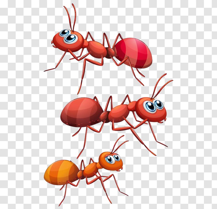 Ant Clip Art - Cartoon Transparent PNG