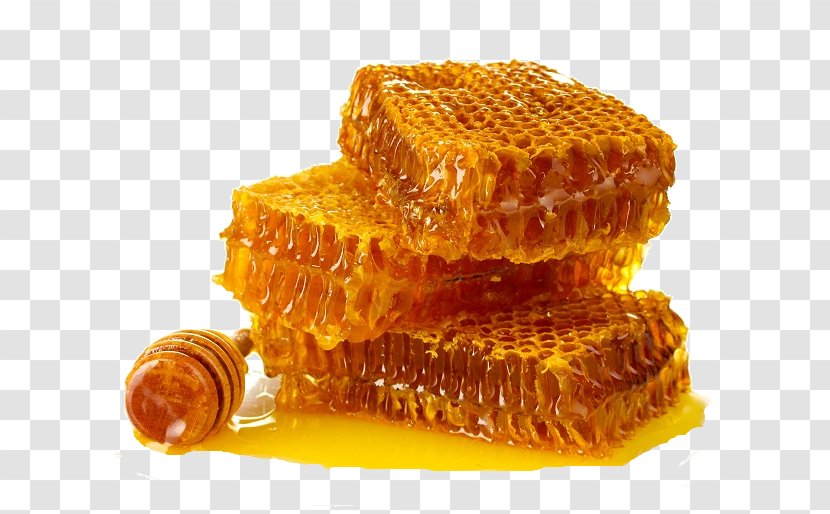 Honey Bee Honeycomb Organic Food - Beekeeper Transparent PNG