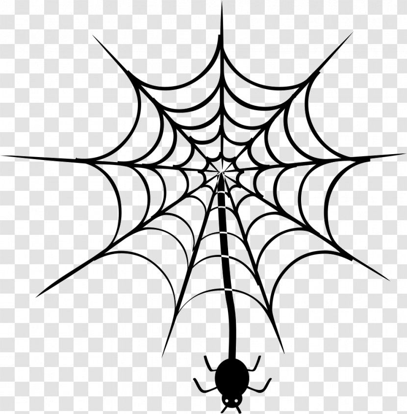 Spider Web Clip Art - Invertebrate Transparent PNG