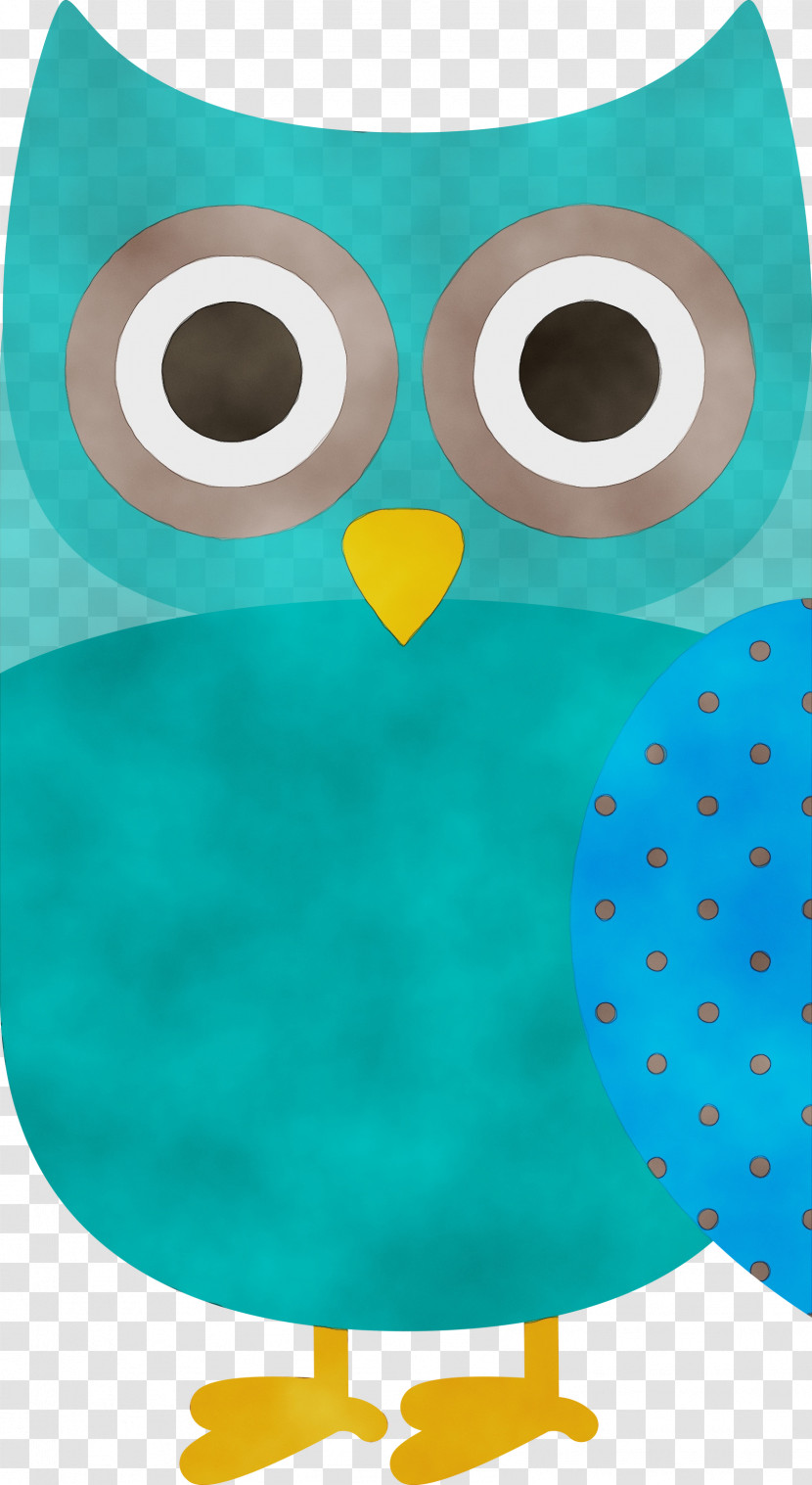 Owl M Green Pattern Beak Transparent PNG