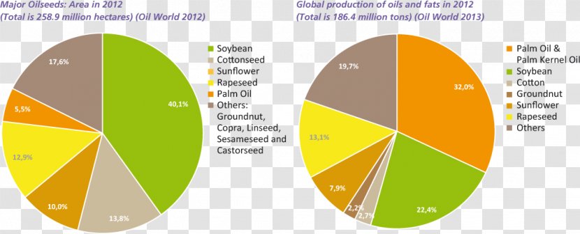 Brand Diagram Line - Yellow - Oil Palm Transparent PNG