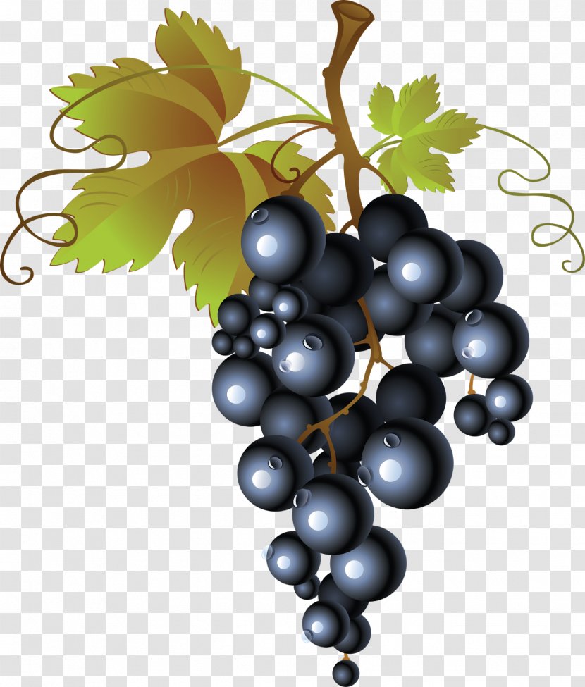 Common Grape Vine White Wine Smoothie - Flowering Plant - Cherries Transparent PNG