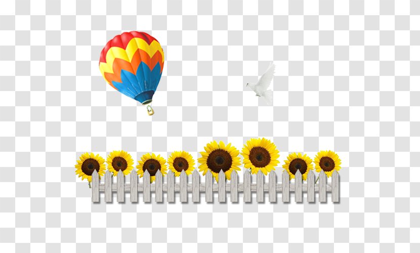 Common Sunflower Chrysanthemum - Petal - Hot Air Balloon Decoration Material Transparent PNG