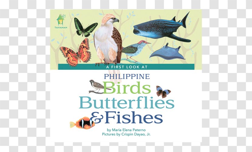 A First Look At Philippine Fruits Birds Publishing Book Philippines - Board Transparent PNG