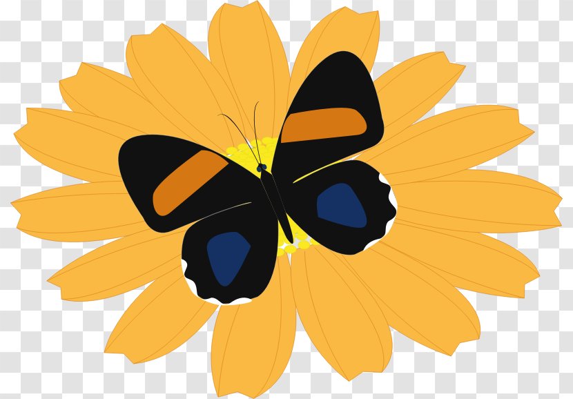 Monarch Butterfly Common Sunflower - Invertebrate - Flower Transparent PNG