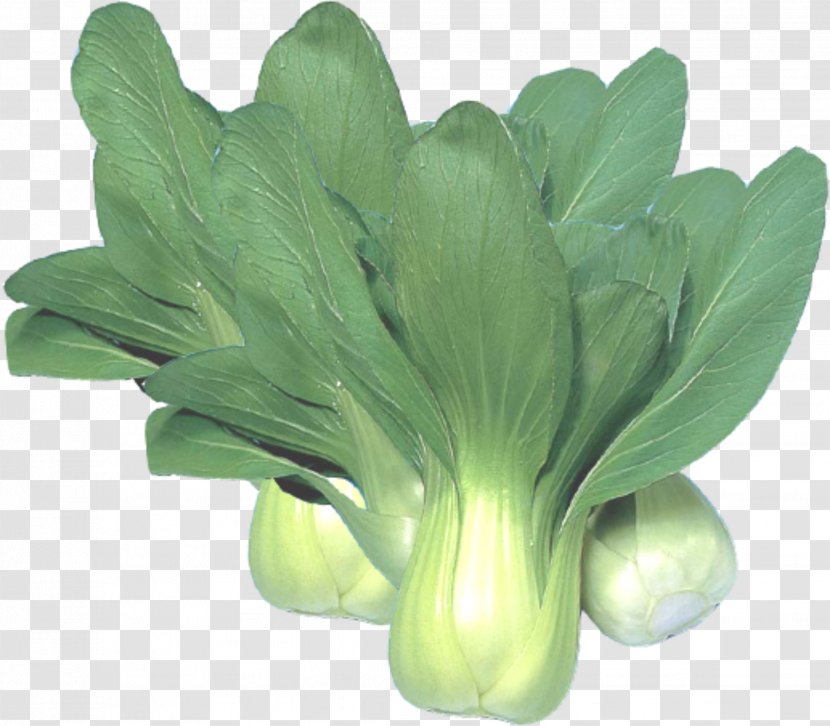 Chinese Cabbage Choy Sum Vegetable Napa - A Transparent PNG