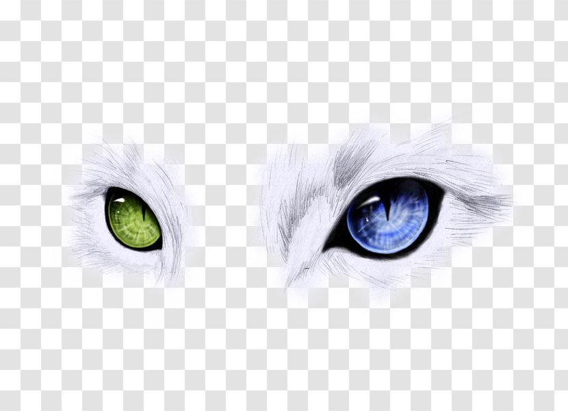 Ojos Azules Odd-eyed Cat Blue Cats Eye - Frame - Two Are And Green Eyes Transparent PNG