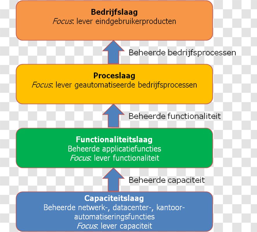 Organization Dutch Language TM Forum Responsibility Assignment Matrix Font - Cartoon - Focus Word Transparent PNG