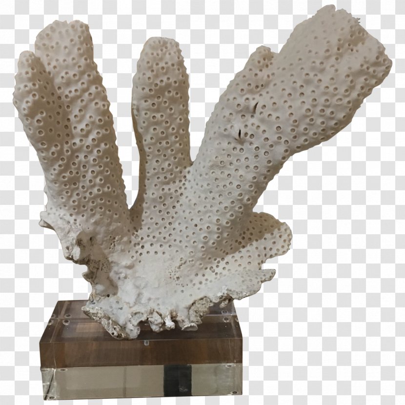 Sculpture Glove Transparent PNG
