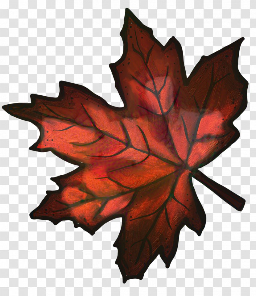 Autumn Leaves Background - Set - Silver Maple Planetree Family Transparent PNG