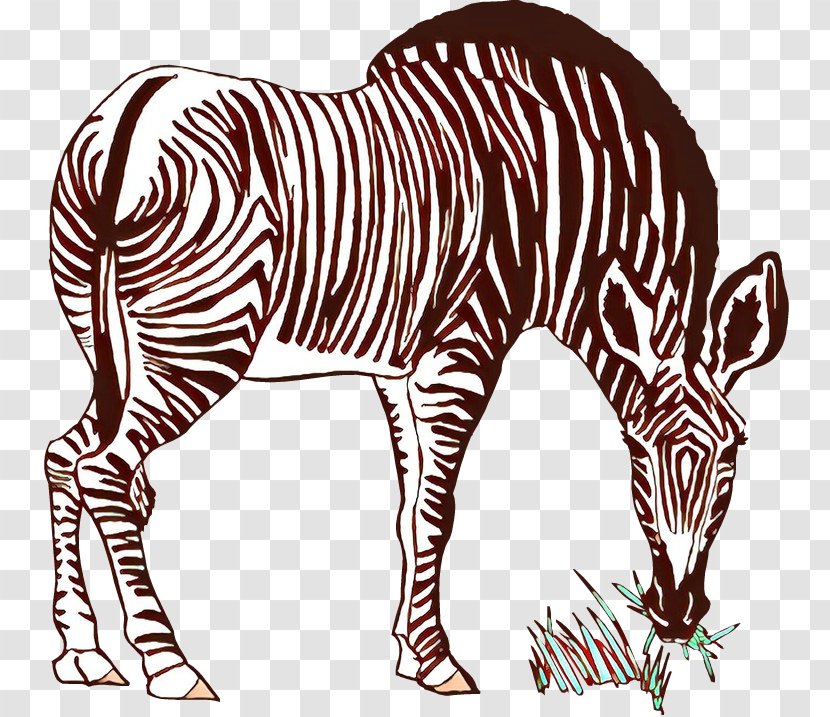 Cat Quagga Mammal Terrestrial Animal Zebra - Mane Transparent PNG