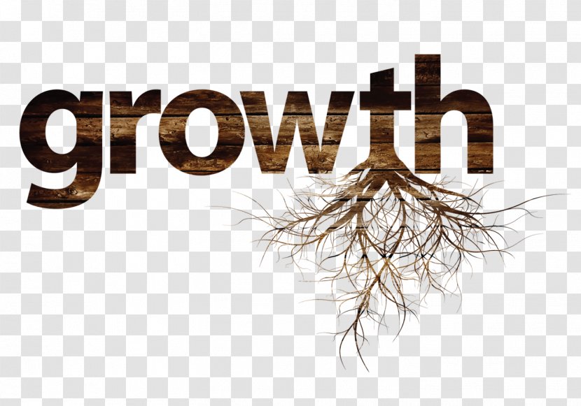 International Plant Molecular Biology Le Corum Investment Logo Investor - Montpellier - Growth Transparent PNG