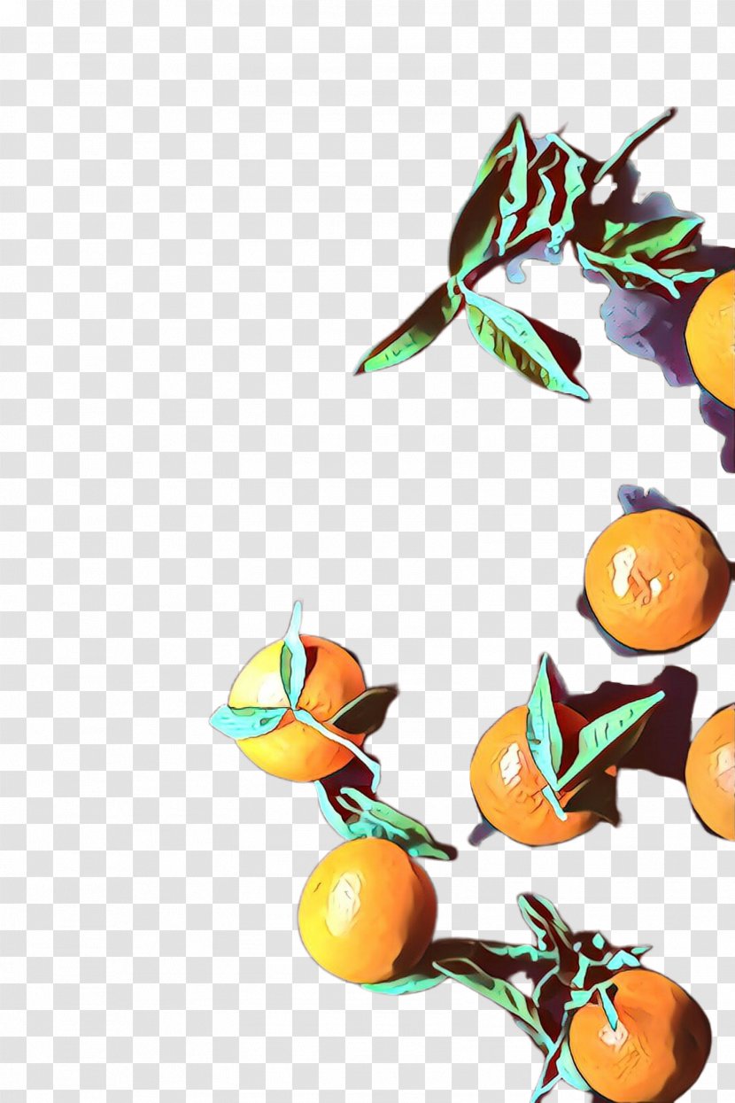 Orange - Clementine - Kumquat Valencia Transparent PNG