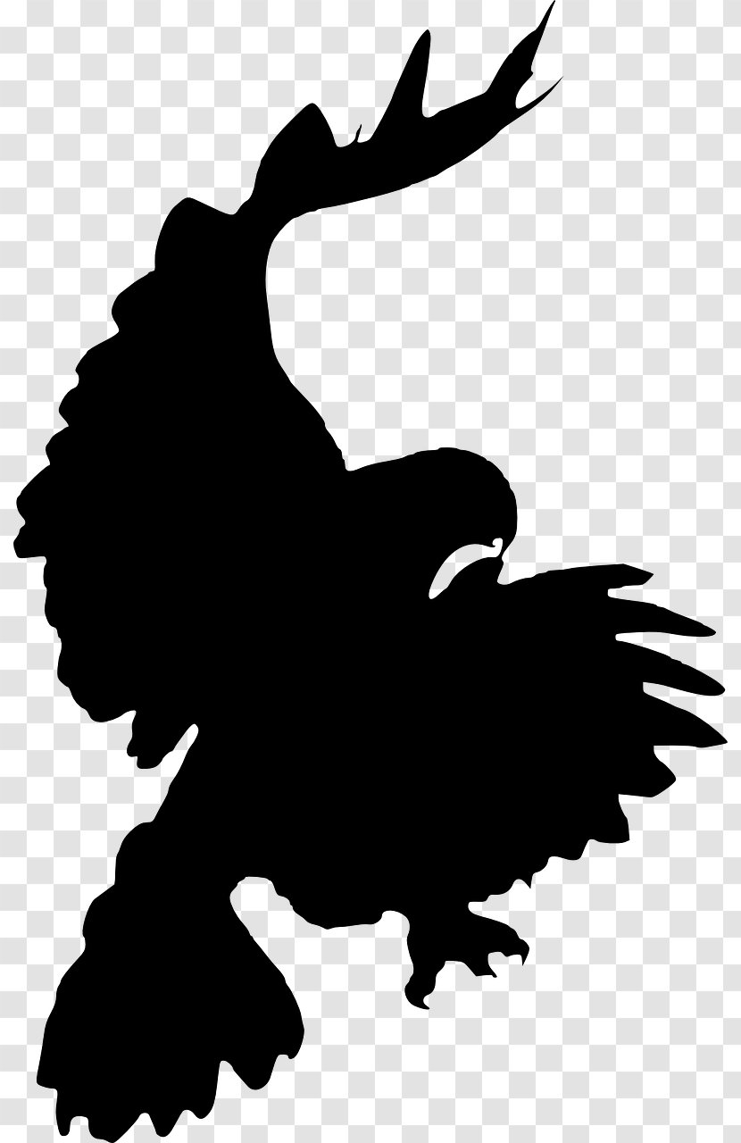 Clip Art - Hawk - Falcon Transparent PNG