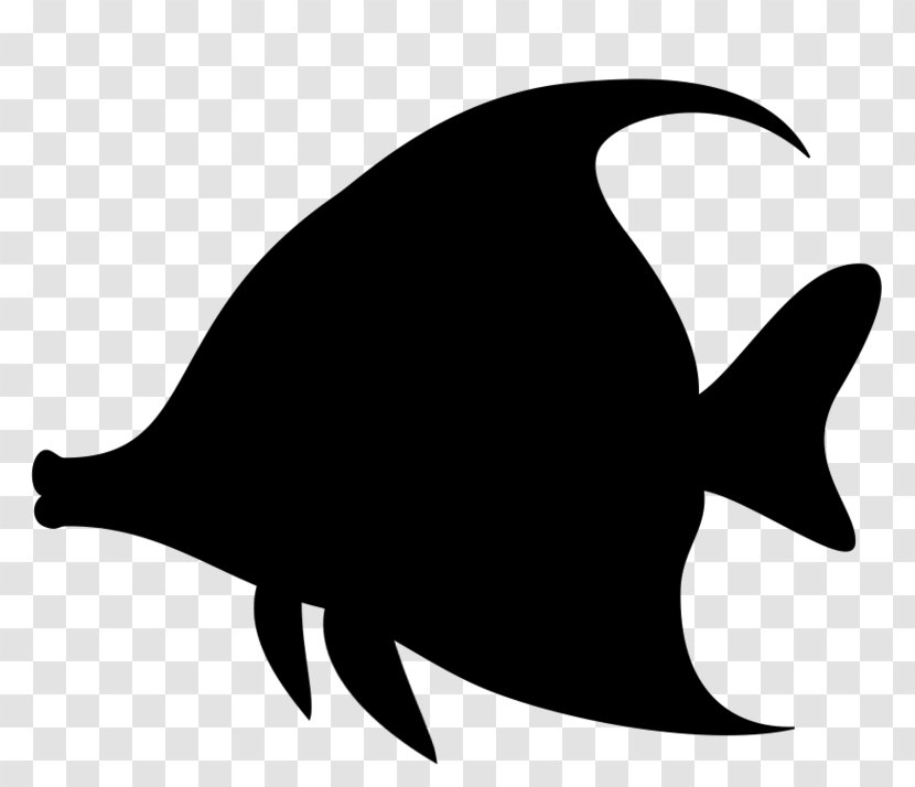 Dolphin Clip Art Fauna Silhouette Beak - Killer Whale Transparent PNG