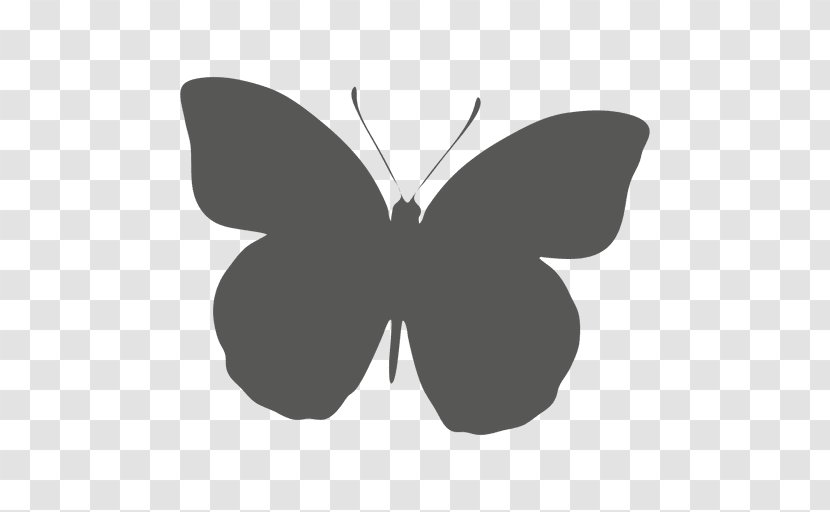 Butterfly Silhouette - Leaf - Wifi Vector Transparent PNG