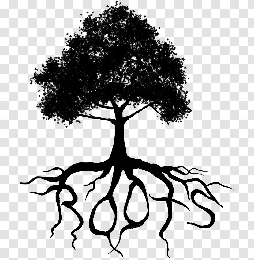 Root Tree Plant Stem Trunk - Silhouette Transparent PNG