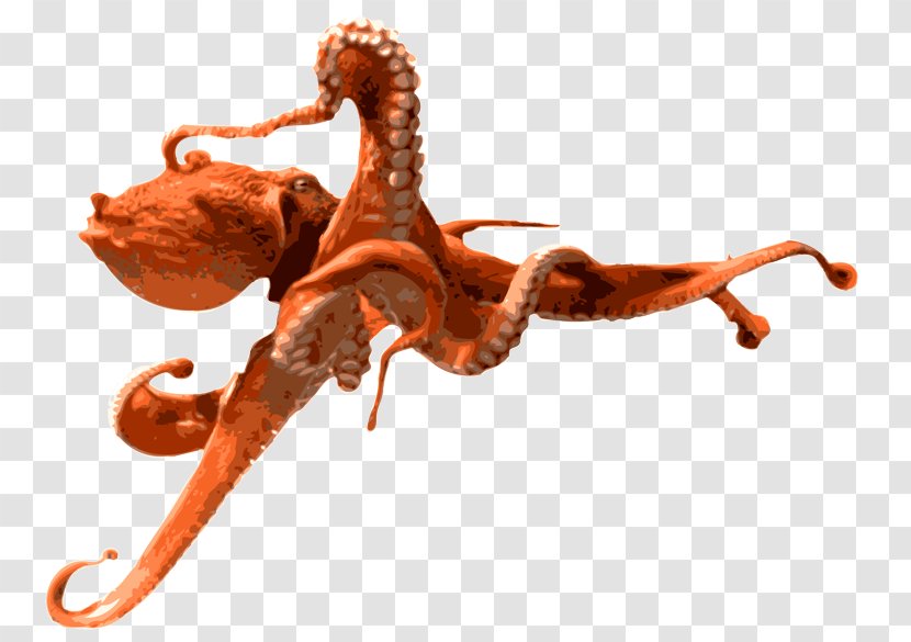 Octopus Clip Art - Organism - Web Browser Transparent PNG