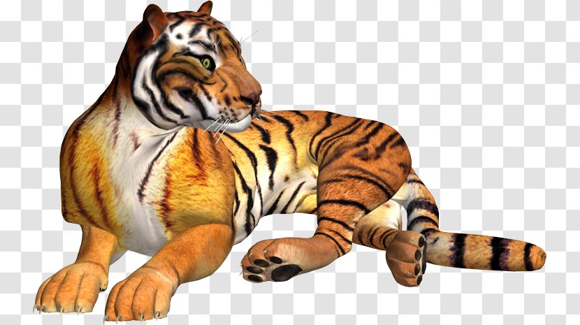 Tiger Lion Cat Clip Art Transparent PNG