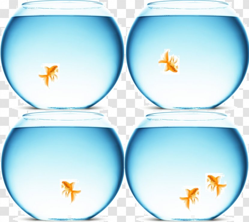Water Liquid Table-glass Animal - Glass - Real Estate Boards Transparent PNG