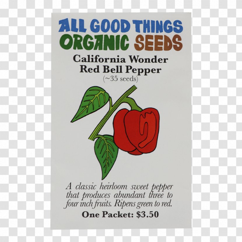 All Good Things Organic Seeds LLC Zucchini Certification Fruit Tomatillo - Vegetable - Coriander Transparent PNG