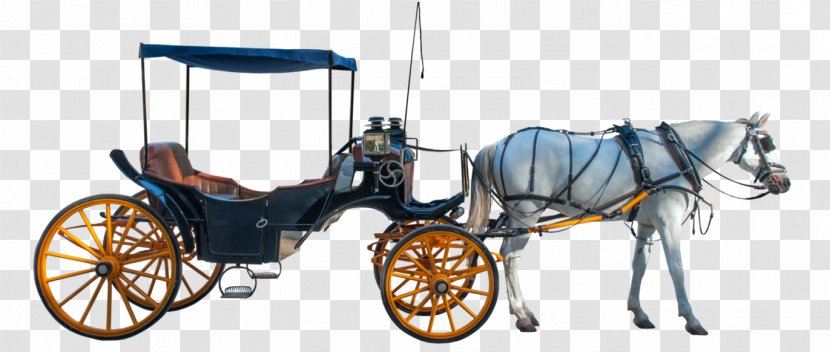 Horse And Buggy Carriage Horse-drawn Vehicle - Harness Transparent PNG