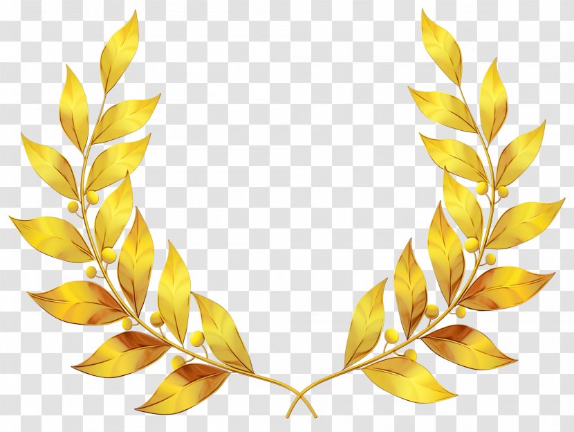 Leaf Yellow Plant Fashion Accessory Flower - Paint Transparent PNG