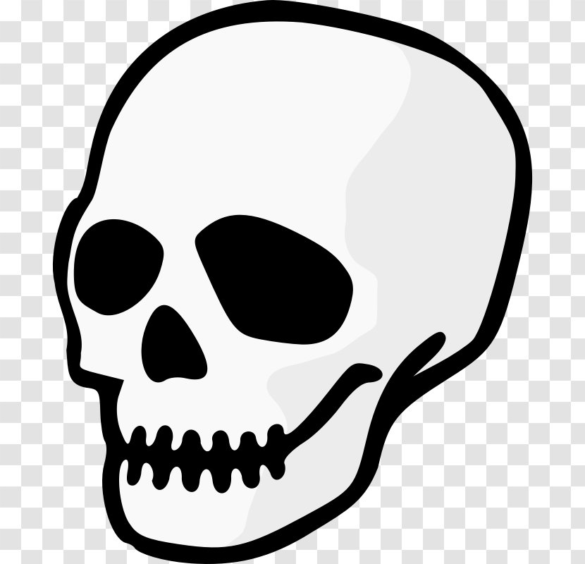 Skull Clip Art - Drawing Transparent PNG