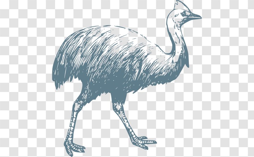 Bird Cartoon - Wildlife - Cranelike Transparent PNG